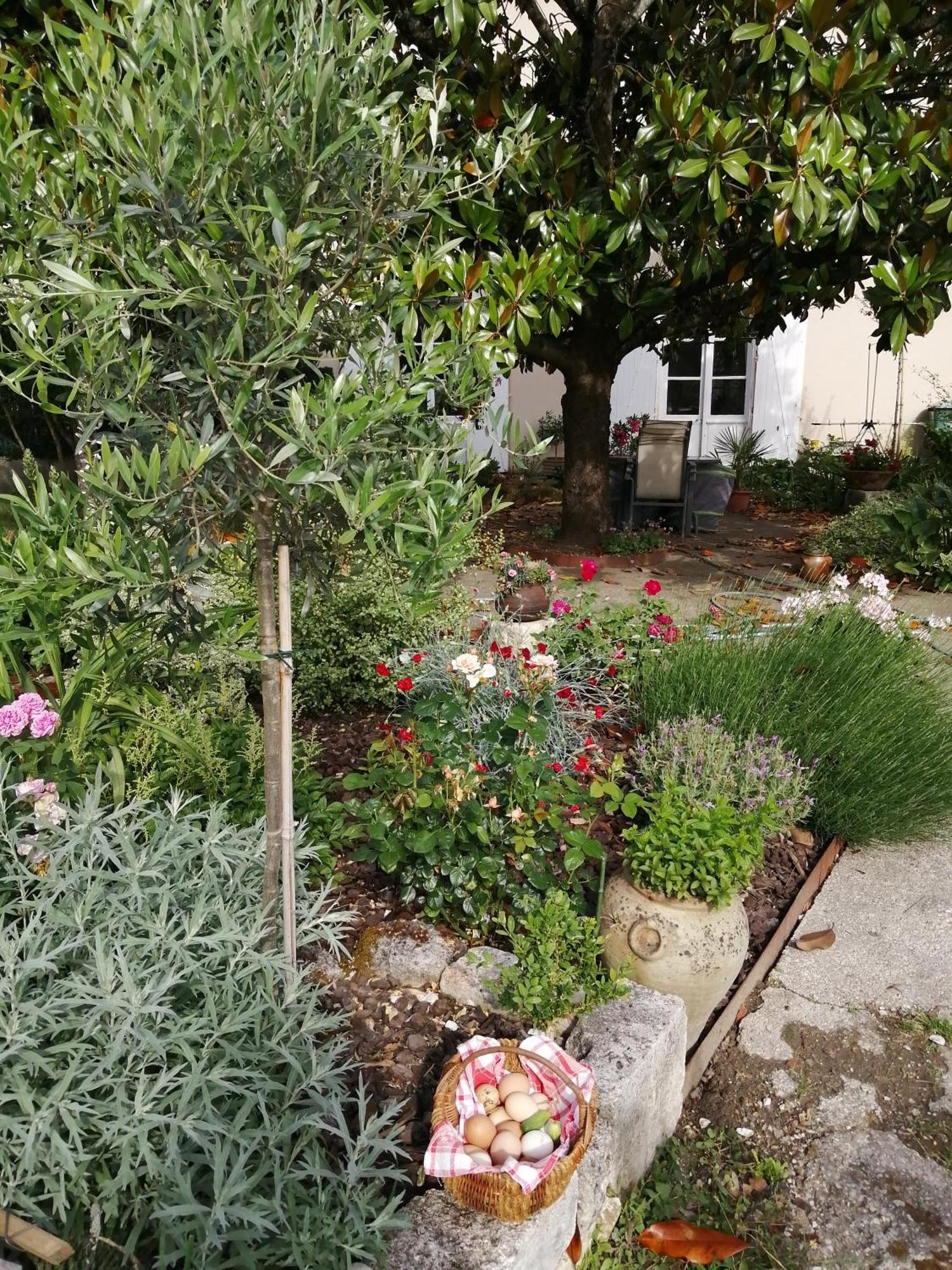 Au Logis De Vechillot Bed and Breakfast Angoulême Eksteriør billede