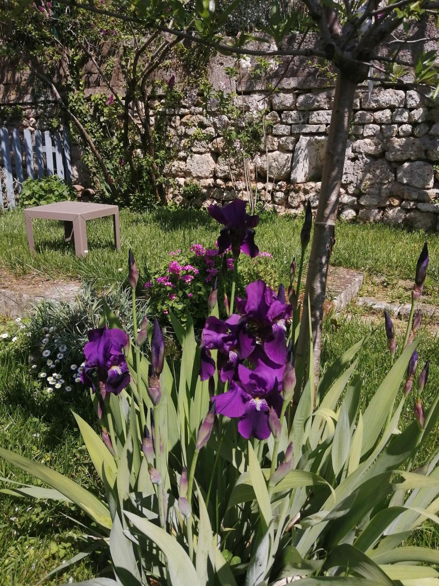 Au Logis De Vechillot Bed and Breakfast Angoulême Eksteriør billede